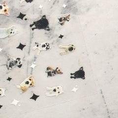 5D Nail Sticker - Dog 02