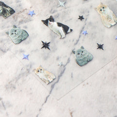 5D Nail Sticker - Cats 02