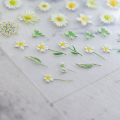 5D Nail Sticker - Daisy